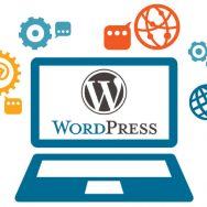 PTO cursus Wordpress